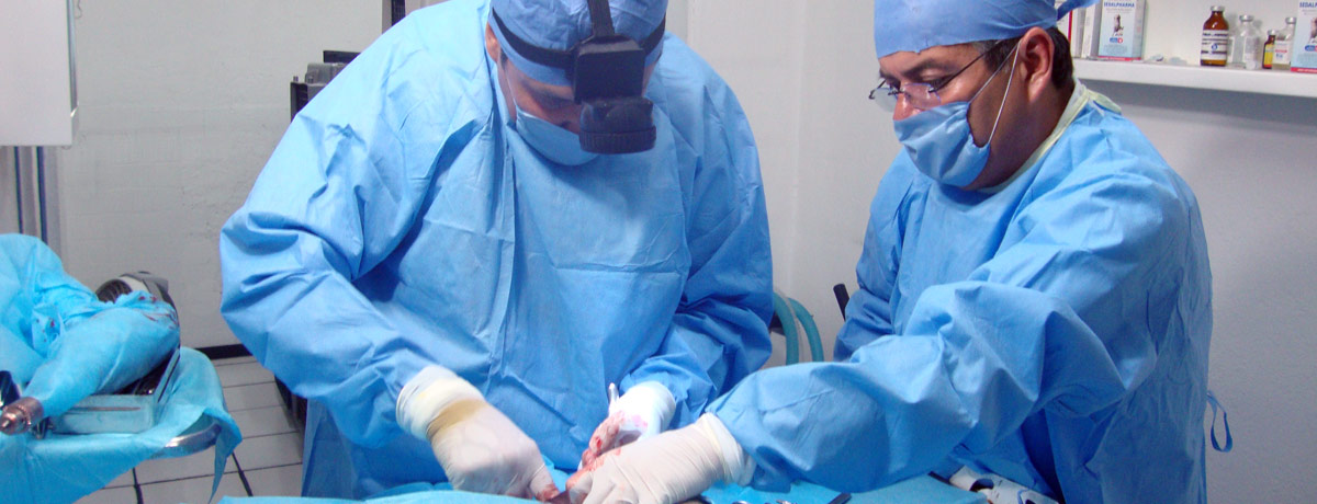 Excelencia en Ortopedia y Cirugias Reconstructivas